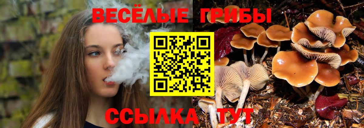 Галлюциногенные грибы ЛСД  Вход с VPN  Железногорск 