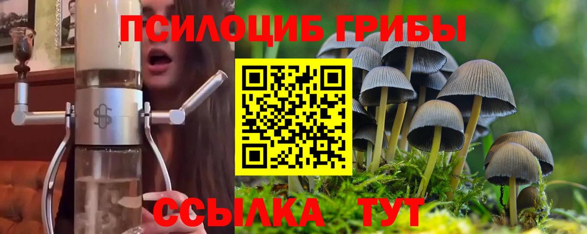 Галлюциногенные грибы MAGIC MUSHROOMS Железногорск