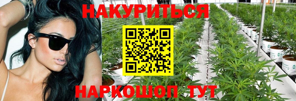 Бошки Шишки тримм Железногорск